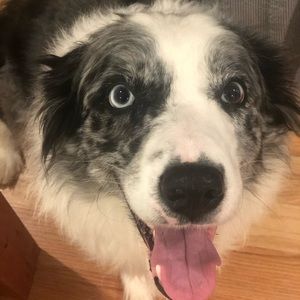 Meet your Posher, Jenny